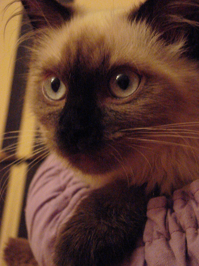 DSC01065.JPG