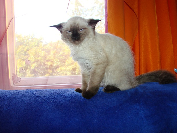 DSC01166.JPG