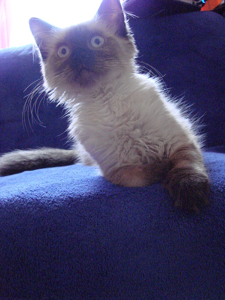 DSC01124.JPG