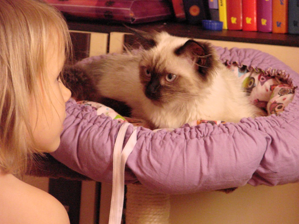 DSC01411.JPG
