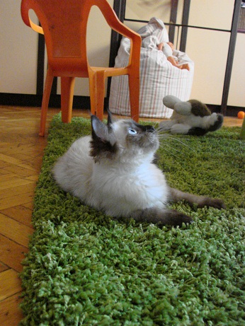 DSC01866.JPG