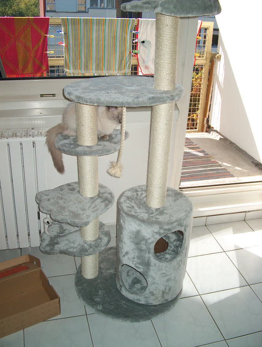 cica 182.jpg