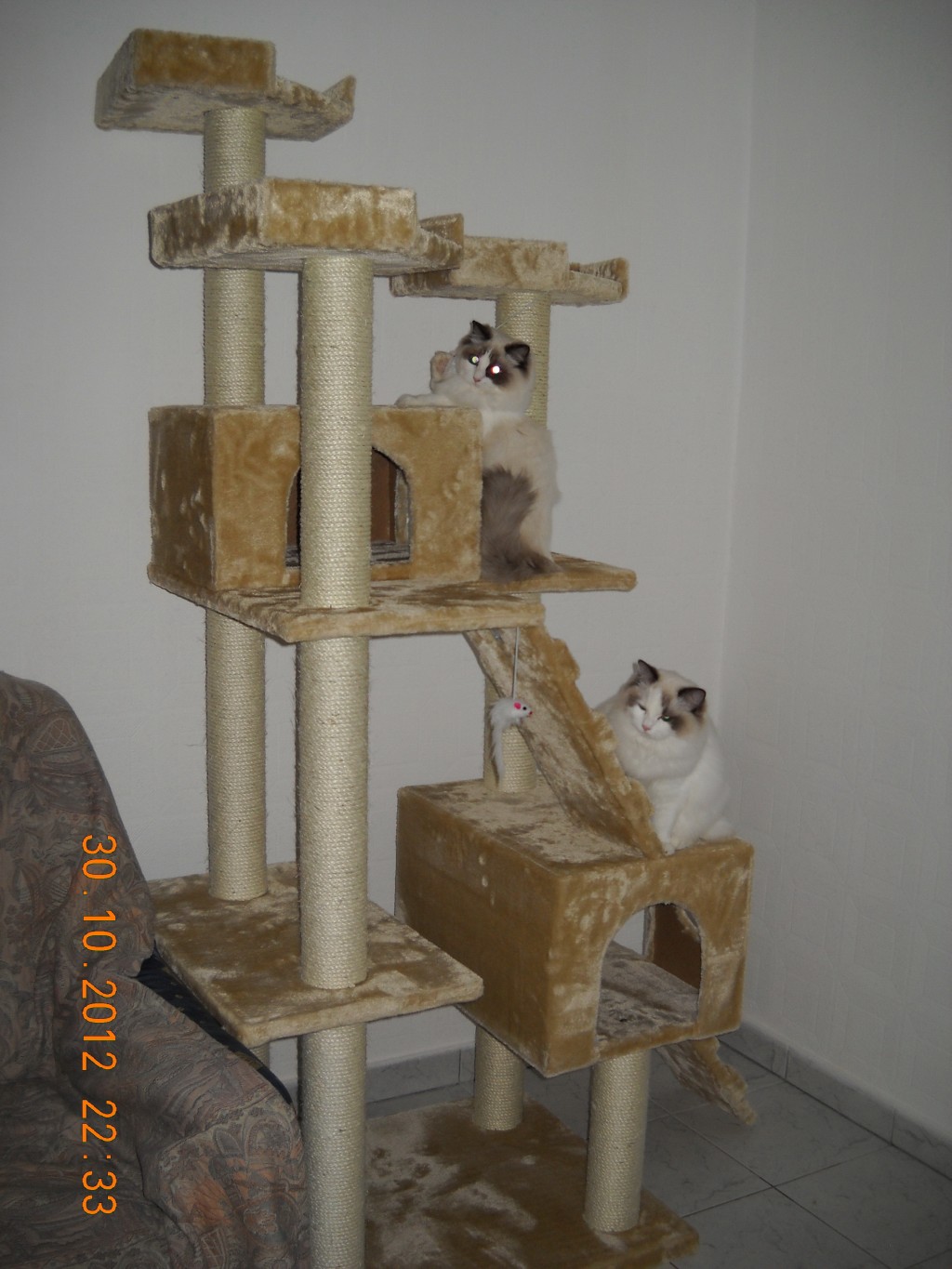 DSCN9431.JPG