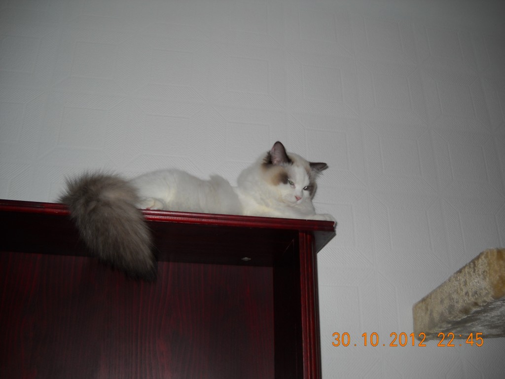 DSCN9459.jpg