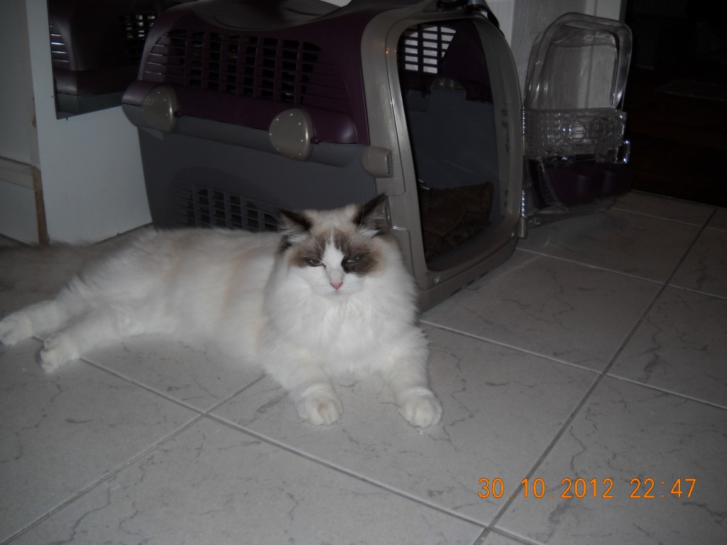 DSCN9462.jpg