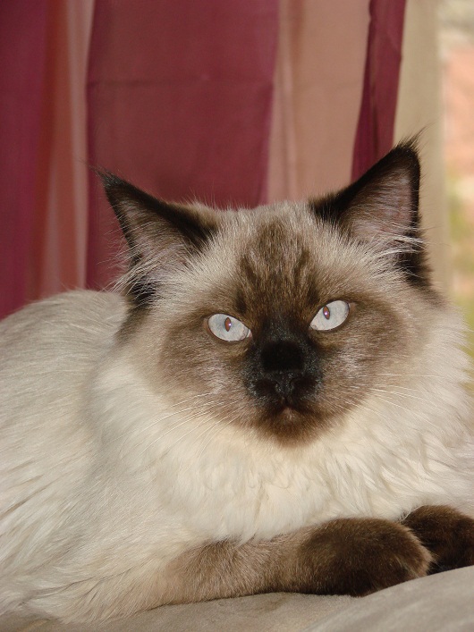 DSC02751.JPG