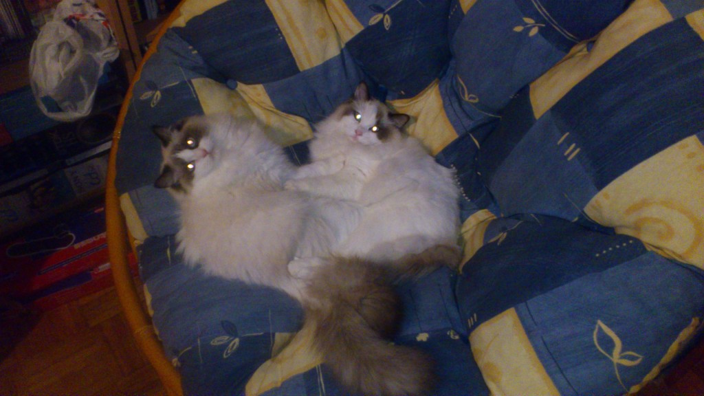 DSC_0128.jpg