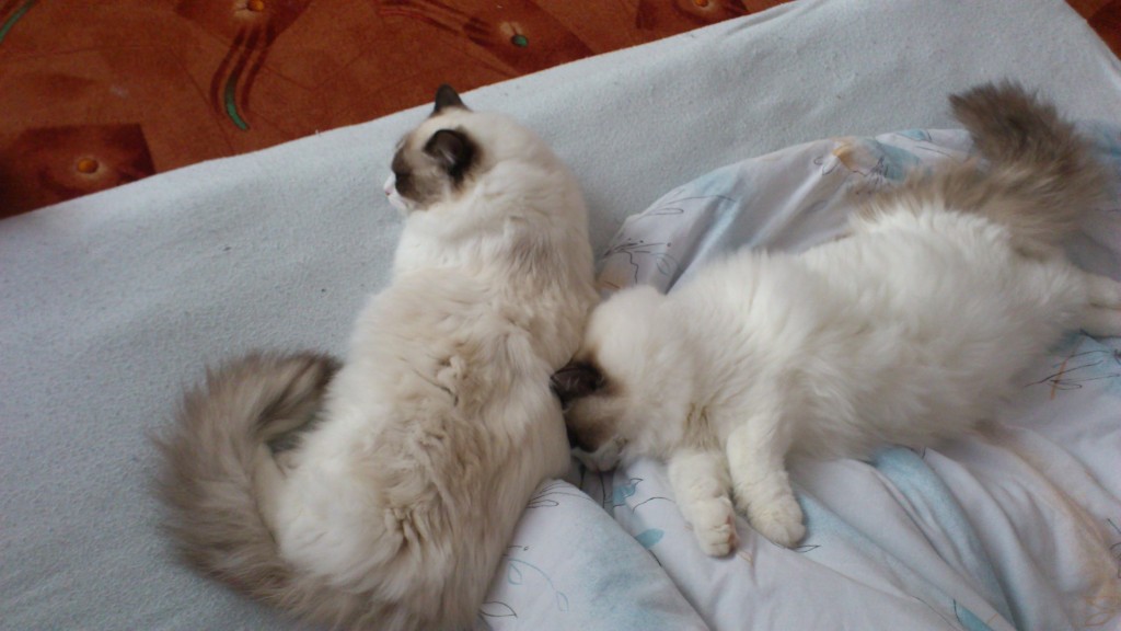 DSC_0111.jpg
