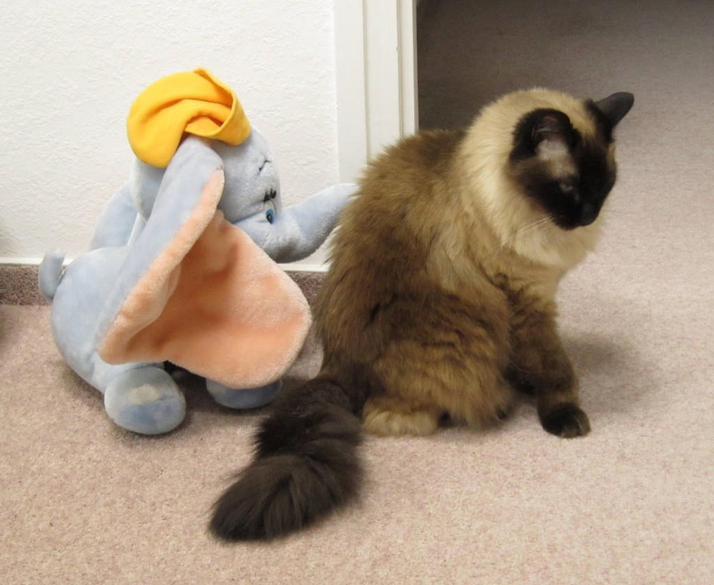 Cuppi és Dumbo 02.jpg