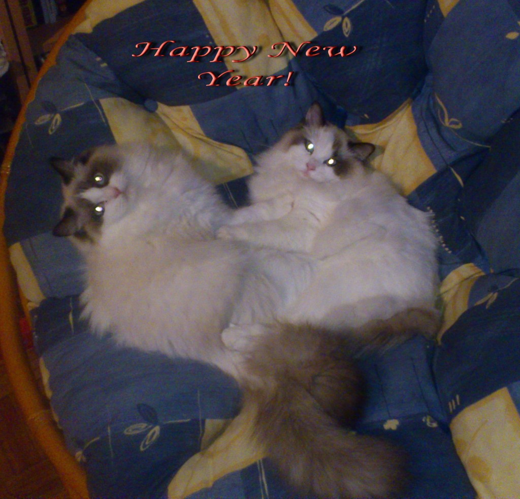 Happy New Year!.jpg