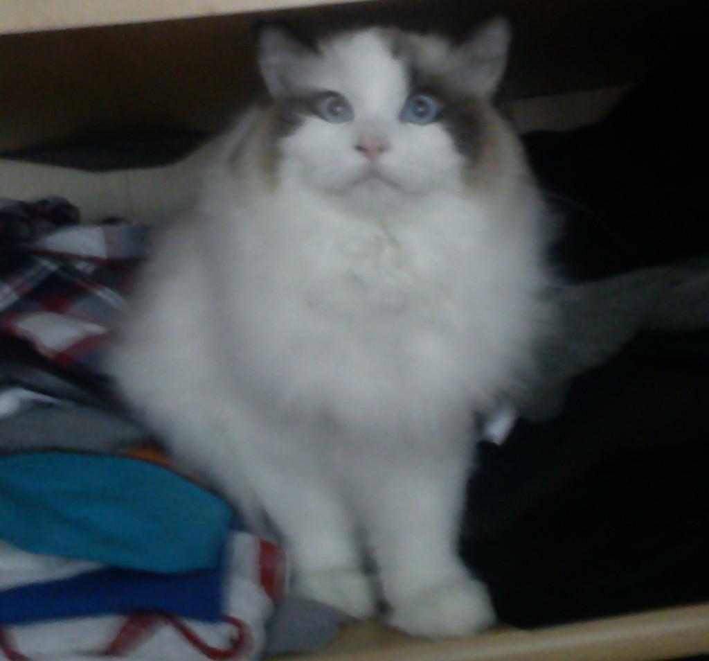 DSC01552.jpg