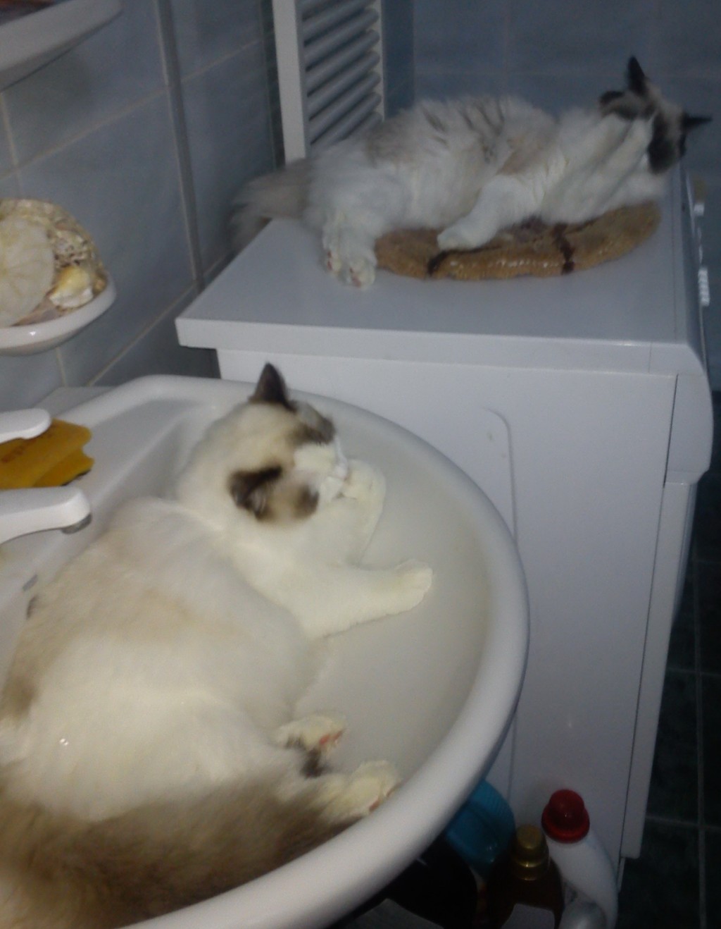 DSC01435.jpg