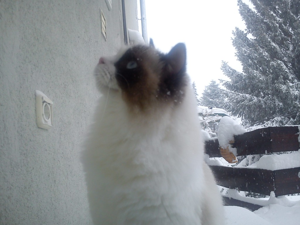 DSC01675.jpg