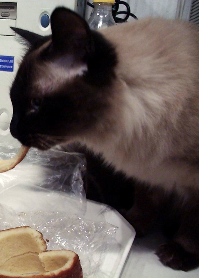 Cuppi (2001-2003.) - Kürtös kalács 03.jpg